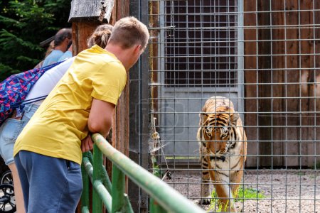 Téléchargez les photos : Spisska Nova Ves, Slovaquie - 28 juillet 2022 : Les gens devant la cage du tigre dans le zoo - en image libre de droit