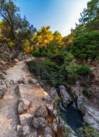 Téléchargez les photos : Beau paysage et sentier de montagne dans la forêt à l'emplacement Seven Springs appelé Epta Piges dans l'île de Rhodes en Grèce. - en image libre de droit
