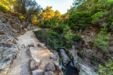 Téléchargez les photos : Beau paysage et sentier de montagne dans la forêt à l'emplacement Seven Springs appelé Epta Piges dans l'île de Rhodes en Grèce. - en image libre de droit