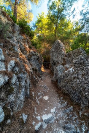 Téléchargez les photos : Sentier de montagne dans la forêt à l'emplacement Seven Springs appelé Epta Piges dans l'île de Rhodes en Grèce. - en image libre de droit