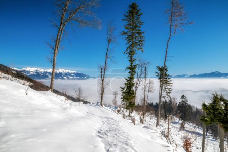Foto de Nevado país de invierno y Tatras Occidental en el fondo en Eslovaquia - Imagen libre de derechos