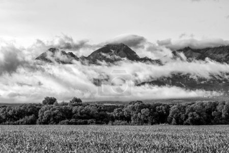 Téléchargez les photos : Hauts sommets dans les nuages. Photographie noir et blanc. Hautes montagnes Tatras en Slovaquie - en image libre de droit
