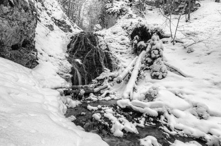 Foto de Cascada nevada llamada vodpad Nizny Jamisny en el bosque de invierno en Eslovaquia - Imagen libre de derechos