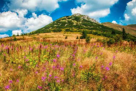 Beutiful summer nature in Little Fatra mountans in Slovakia.
