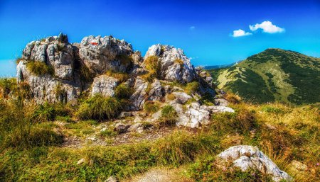 Hill Velky Krivan in mountain range Mala Fatra, Slovakia.
