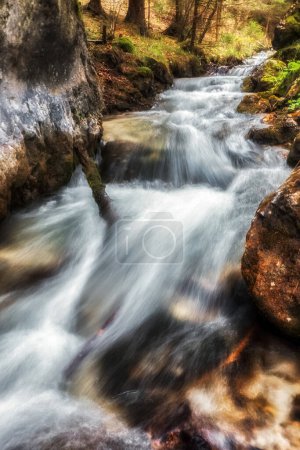 Long exposure of flowing water in river in forest