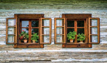 Flowers in pot and open window on wooden cottage
