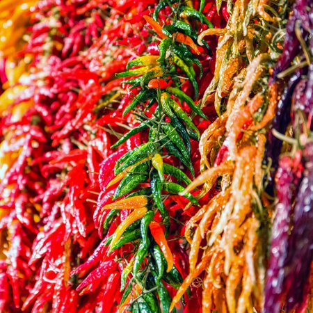 Colorful chili peppers in marketplace La Boqueria, Barcelona