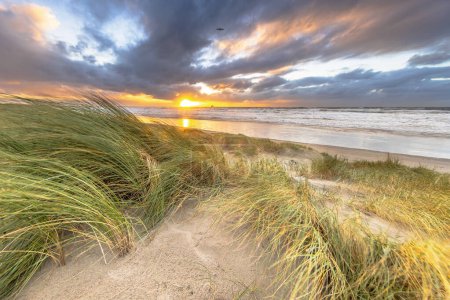 Dünenlandschaft unter bewölktem Herbsthimmel. Dunkle Wolken wehen über die untergehende Sonne. Wijk aan Zee, Nordholland. Niederlande. Meereslandschaft Europas.