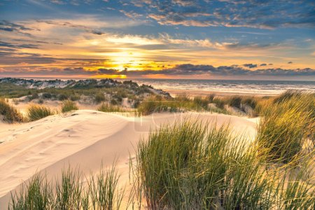 Coucher de soleil Vue du haut des dunes sur la mer du Nord depuis l'île d'Ameland, Frise, Pays-Bas