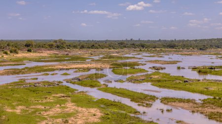 Téléchargez les photos : Rivière Olifants à partir de H1 dans le parc national Kruger Afrique du Sud - en image libre de droit