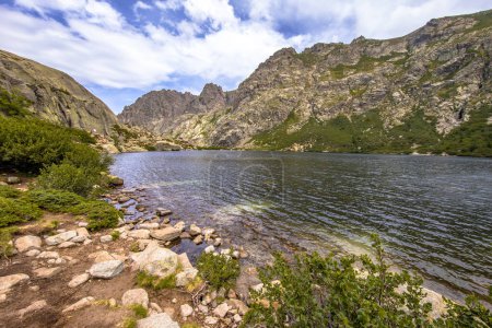 Téléchargez les photos : Vue sur le lac Melo dans la spectaculaire gorge luxuriante de Restonica près de Corte sur l'île de Corse, France - en image libre de droit