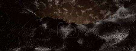 Photo for Artistic dark brown black animal hair texture illustration background. - Royalty Free Image