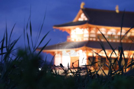 Téléchargez les photos : Hirondelle rustique (Hirundo rustica) millions de troupeaux volent au-dessus du ciel avec Nara Heijo Palace Ruines fond - en image libre de droit
