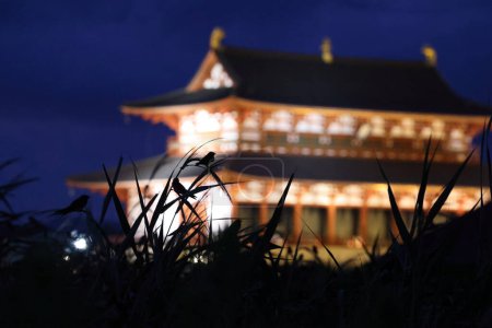 Téléchargez les photos : Hirondelle rustique (Hirundo rustica) millions de troupeaux volent au-dessus du ciel avec Nara Heijo Palace Ruines fond - en image libre de droit
