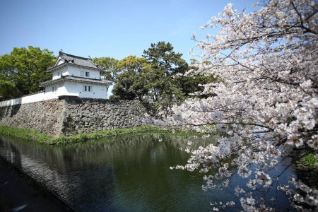 Das Schloss Funai in der Stadt Oita, Präfektur Oita, auf der Insel Kyushu. Funai Castle, auch als Oita Castle bekannt, ist eine historische japanische Burg in Oita City, Präfektur Oita, auf der Insel Kyushu. 