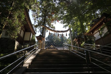 Photo for Omiwa Shrine in Sakurai City, Nara Prefecture, Japan. Omiwa Shrine, also known as Omiwa Jinja, is a Shinto shrine located in Sakurai City, Nara Prefecture, Japan. It is one of the oldest Shinto shrines in Japan. - Royalty Free Image