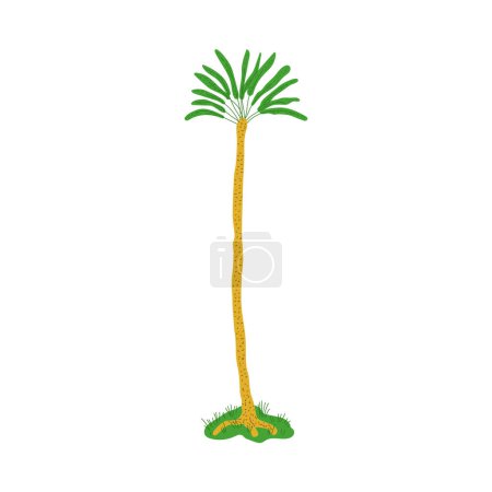 Illustration for Palm tree, hand drawn flat vector illustration isolated on wihte background. Cartoon and childish palm tree. Concepts of exotic nature, traveling and summer. - Royalty Free Image