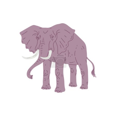 Illustration for African grey elephant walking flat vector illustration isolated on white background. Elephant animal of savanna regions native to Africa and southern Asia. - Royalty Free Image