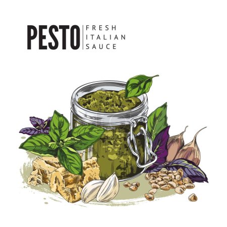Hand drawn colorful pesto into glass jar sketch style, vector illustration isolated on white background. Fresh Italian sauce, purple and green basil leaves, garlic cloves