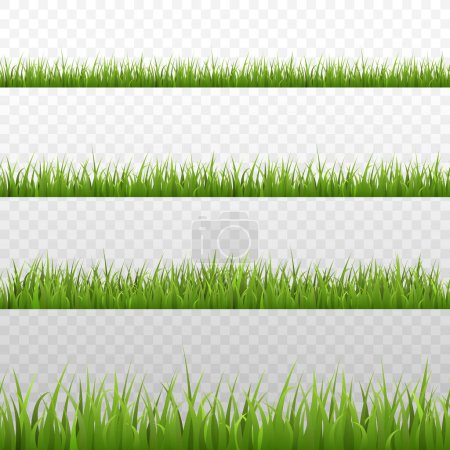 Illustration for Green grass horizontal seamless border edges collection, realistic vector illustration isolated on transparent background. Grass meadow frame layout template. - Royalty Free Image
