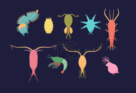 Illustration for Tiny microscopic marine zooplankton crustaceans and organisms set, flat cartoon vector illustration isolated on dark background. Bright vibrant colors plankton set. - Royalty Free Image