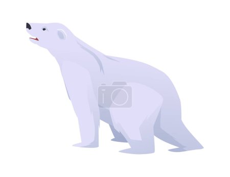 Illustration for Polar white bear Arctic circle animal, flat vector illustration isolated on white background. Polar Ursus bear the northern marine mammal animal character. - Royalty Free Image