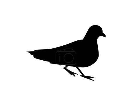 Ilustración de Snow petrel black silhouette, flat vector illustration isolated on white background. Seabird shadow icon. Concepts of wildlife and South Pole sea bird. - Imagen libre de derechos