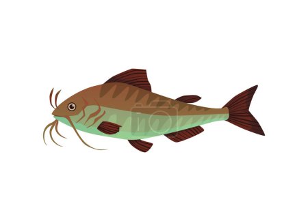 Illustration for Catfish a freshwater or marine fish flat cartoon vector illustration isolated on white background. Sea and river edible catfish or wolffish icon or symbol. - Royalty Free Image