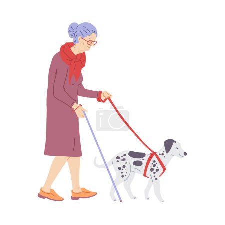 Ilustración de Elderly woman walking dalmatian dog on leash, flat vector illustration isolated on white background. Service dog or guide dog helping visually impaired senior woman with walking stick. - Imagen libre de derechos