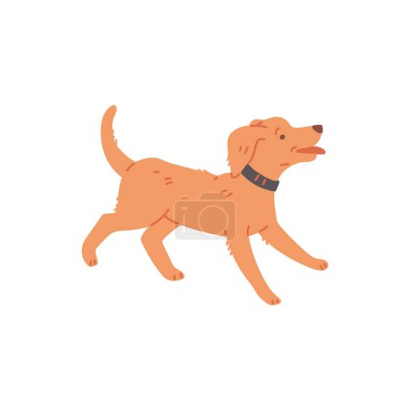 Illustration for Cute dog running or get zoomies, cartoon flat vector illustration isolated on white background. Cheerful pup in collar. Frenetic random activity periods in dogs. - Royalty Free Image