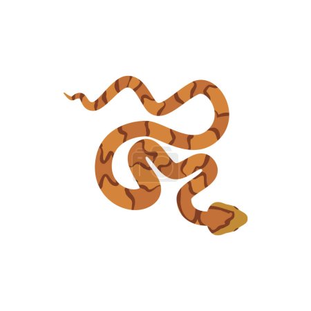 Copperhead snake, top view - flat vector illustration isolated on white background. Eastern copperhead reptile crawling. Concepts of animals, wildlife and nature.