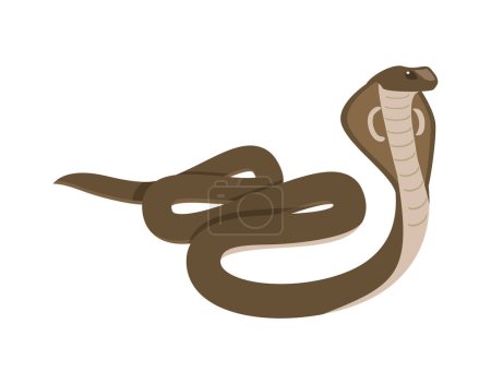 Téléchargez les illustrations : Cobra indien, illustration vectorielle plate isolée sur fond blanc. Serpent venimeux rampant. Dessin dangereux de serpent asiatique. Concepts de la faune et des animaux. - en licence libre de droit