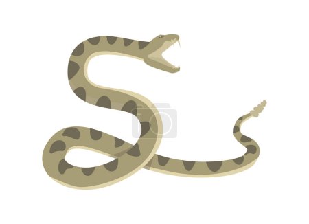 Ilustración de Serpiente de cascabel Diamondback preparándose para atacar el estilo plano, ilustración vectorial aislada sobre fondo blanco. Boca abierta con dientes afilados, pose, elemento decorativo de diseño - Imagen libre de derechos