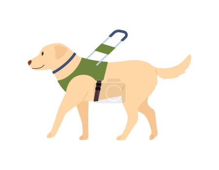 Illustration for Guide dog with a special leash to help visually impaired and blind people move, flat vector illustration isolated on white background. Guide dog standing side view. - Royalty Free Image