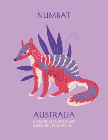Illustration for Numbat Australian animal poster with text, flat vector illustration. Banner with concepts of Australian animals and nature. Kids educational card. - Royalty Free Image