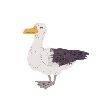 Illustration for Albatross seabird, hand drawn flat vector illustration isolated on white background. Sea gull drawing. Concepts of animals, wildlife and nature. - Royalty Free Image