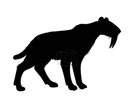 Illustration for Vector illustration of black silhouette Smilodon, saber toothed tiger, predator of ice age. Concept of prehistoric period animals, cartoon character hand drawn design style, isolated on white - Royalty Free Image
