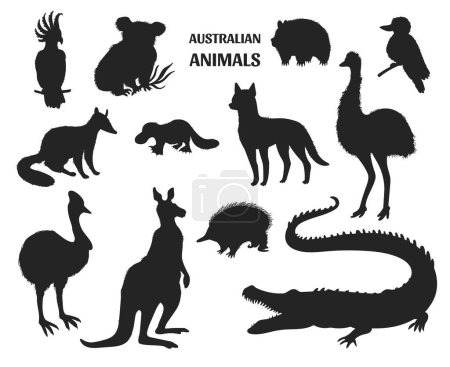 Conjunto de siluetas negras de animales australianos - ilustración vectorial aislada sobre fondo blanco. Iconos de canguro, wombat, echidna, emu avestruz, cocodrilo, koala y cacatúa.