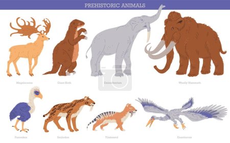 Illustration for Set of vector illustrations of Enantiornis, enantiornis, fororakos, giant sloth, woolly mammoth. Concept of prehistoric period animals and birds of ice age with titles, isolated on white background. - Royalty Free Image