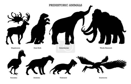 Illustration for Set of prehistoric animals black silhouettes, vector illustration isolated on white background. Monochrome icons of extinct animals - megaloceros, giant sloth, wooly mammoth and smilodon. - Royalty Free Image