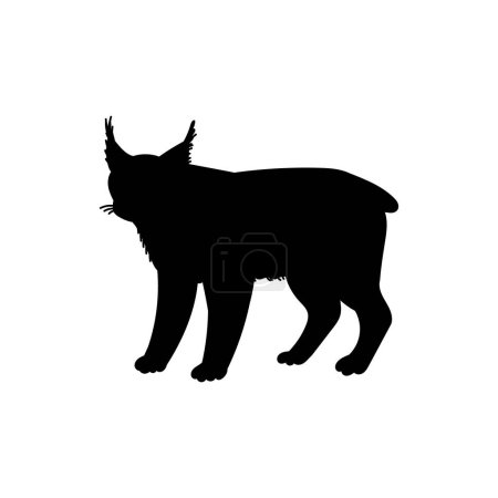 Téléchargez les illustrations : Lynx chat sauvage moelleux silhouette noire. Animaux d'Amérique du Nord. Grand chat sauvage se tient sur quatre pattes isolées sur fond blanc. Mammifère rare prédateur. Illustration vectorielle de contour de bande dessinée. - en licence libre de droit