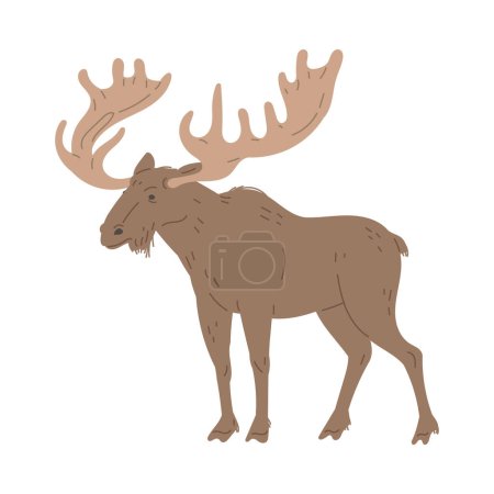 Illustration for Moose wild forest animal. Bull elk with huge horns, antlers. North America animals big woods stag mammal. Colorful flat vector illustration isolated on white background - Royalty Free Image
