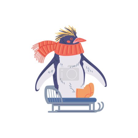 Illustration for Cute penguin in scarf, earmuffs and sledding, vector illustration isolated on white background. Cartoon character in flat style. Winter funny north wild bird drawing in blue gray and red colors. - Royalty Free Image