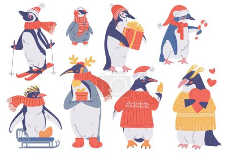 Illustration for Holiday penguins in winter clothes, vector illustration isolated on white background. Set of cartoon characters in flat style. Collection of funny colored drawing north wild birds. - Royalty Free Image
