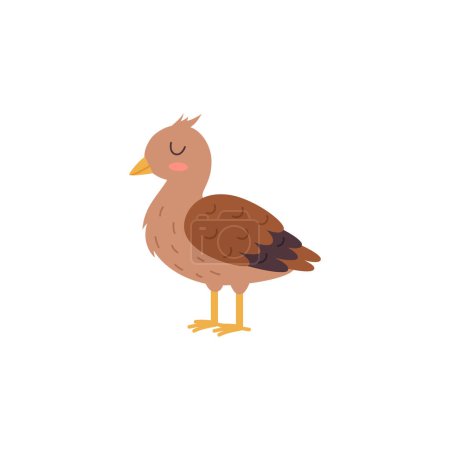 Illustration for Beautiful peacock baby. Vector illustration of exotic peafowl kid. Cartoon cute brown bird child isolated on white background. Rustic chicken poult, small pheasant icon - Royalty Free Image