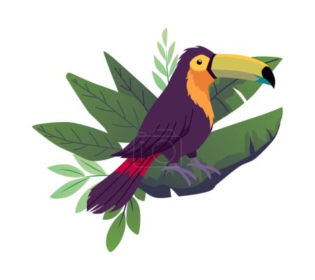 Illustration for Tropical black toucan bird. Cartoon beautiful exotic wild bird with orange beak from rainforest. Vector illustration of jungle fauna and flora, red-billed toucan animal isolated on white - Royalty Free Image