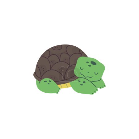 A serene turtle resting, captured in a minimalist vector illustration, ideal for educational and environmental materials.