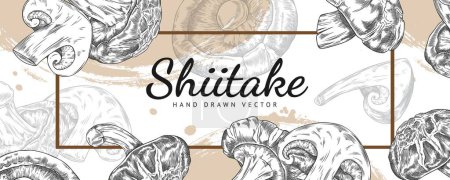 Banner with shiitake mushrooms. Graphic black and white pencil drawing vector illustration of natural organic vegetarian products with space for text.