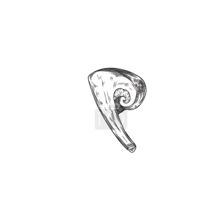 Asian shiitake mushroom, in black and white style. Graphic vector image of a piece of edible mushroom, isolated on a white background, representing organic vegetarian cuisine.